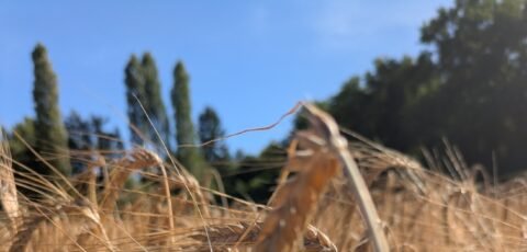 Recevoir les actualités de La Compagnie Par Les Villages